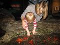 Seattle Aquarium 09